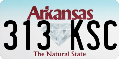 AR license plate 313KSC