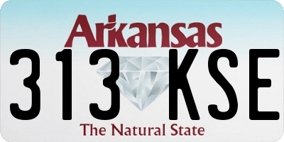 AR license plate 313KSE