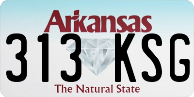 AR license plate 313KSG