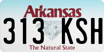 AR license plate 313KSH