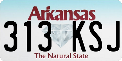 AR license plate 313KSJ