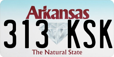 AR license plate 313KSK