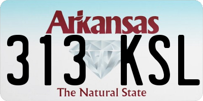 AR license plate 313KSL