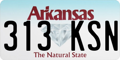 AR license plate 313KSN