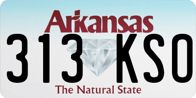 AR license plate 313KSO
