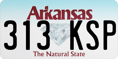 AR license plate 313KSP