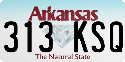AR license plate 313KSQ