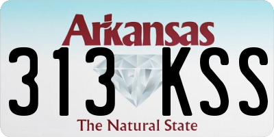 AR license plate 313KSS