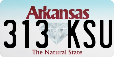AR license plate 313KSU