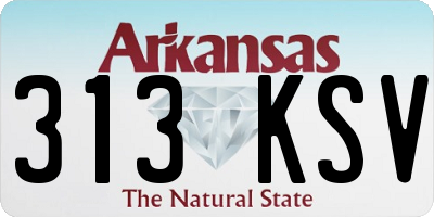 AR license plate 313KSV