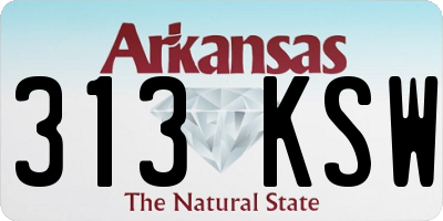 AR license plate 313KSW