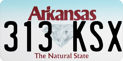 AR license plate 313KSX