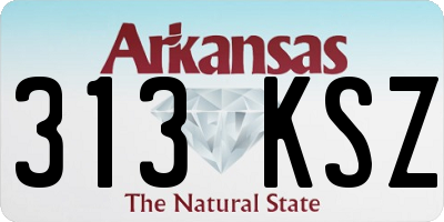 AR license plate 313KSZ