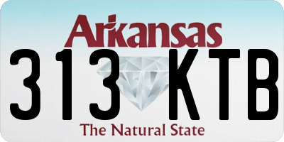 AR license plate 313KTB