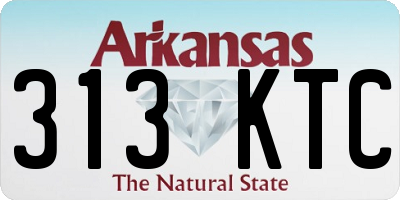 AR license plate 313KTC