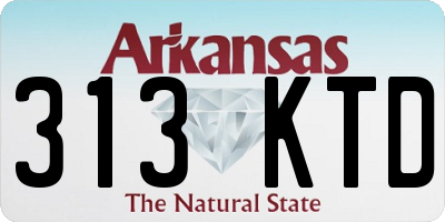 AR license plate 313KTD