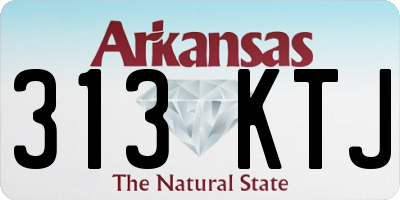 AR license plate 313KTJ