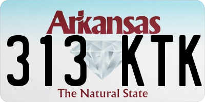 AR license plate 313KTK