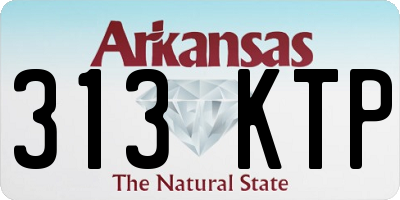 AR license plate 313KTP