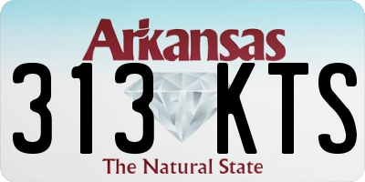 AR license plate 313KTS