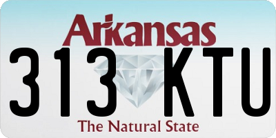 AR license plate 313KTU