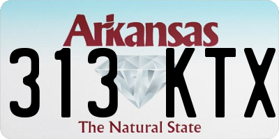 AR license plate 313KTX