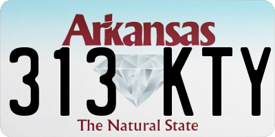 AR license plate 313KTY