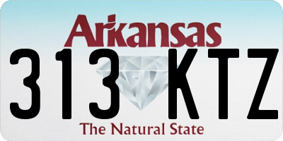 AR license plate 313KTZ