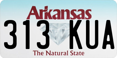AR license plate 313KUA