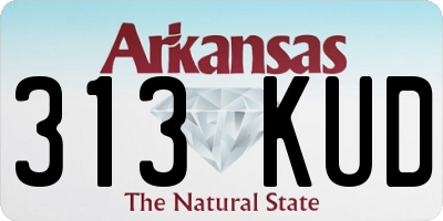 AR license plate 313KUD