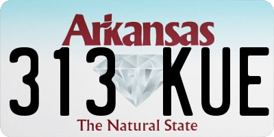 AR license plate 313KUE