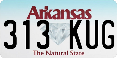 AR license plate 313KUG