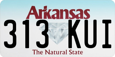 AR license plate 313KUI
