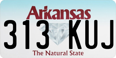 AR license plate 313KUJ
