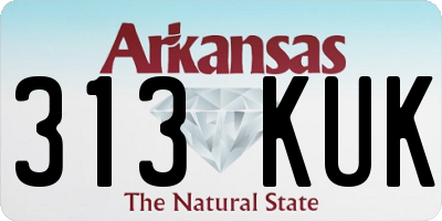 AR license plate 313KUK