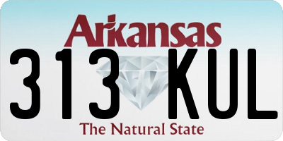 AR license plate 313KUL