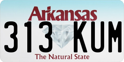 AR license plate 313KUM