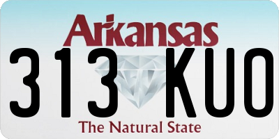 AR license plate 313KUO