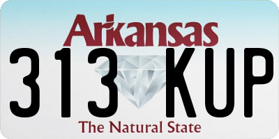 AR license plate 313KUP