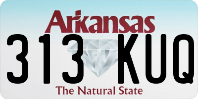 AR license plate 313KUQ