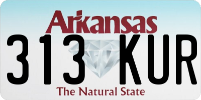 AR license plate 313KUR
