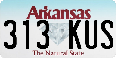 AR license plate 313KUS