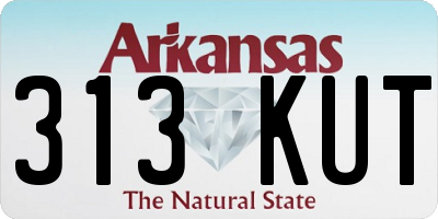 AR license plate 313KUT