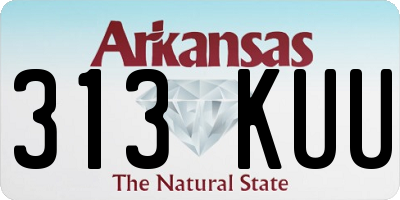 AR license plate 313KUU