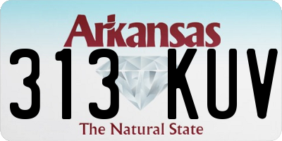 AR license plate 313KUV
