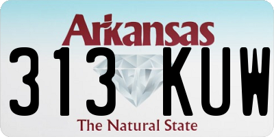 AR license plate 313KUW