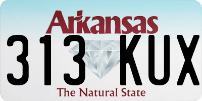 AR license plate 313KUX