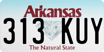 AR license plate 313KUY