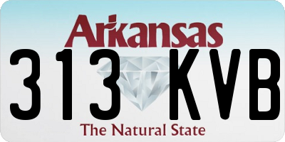 AR license plate 313KVB