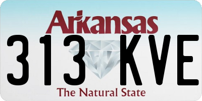AR license plate 313KVE